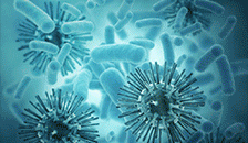 佳贝尔净水器加盟代理